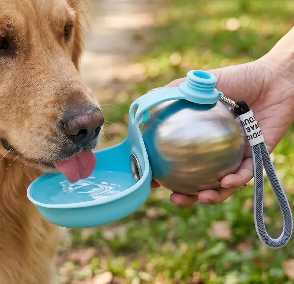 Sip-&-Go dog water bottle